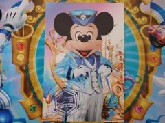 新品♪東京ディズニーシー ミッキー ミニー 実写 ポストカード 15周年