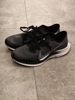Nike ズームペガサスターボ2 23cm ペガサス