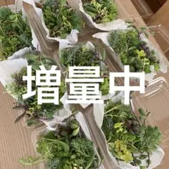 まゆり様 リクエスト 2点 まとめ商品