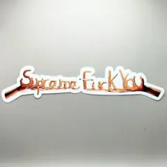 2026年最新】supreme fuck youの人気アイテム - メルカリ