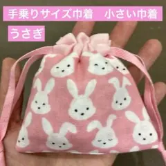ミニミニ巾着248番 手乗りサイズ巾着　小さい巾着★うさぎ