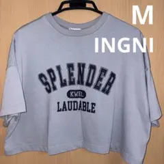 美品 INGNI ショート丈Tシャツ レディース Mサイズのサムネイル