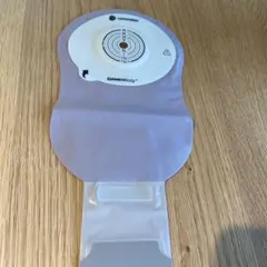 Item thumbnail for item 01b21d7e-0005-4fbb-a165-f30c5927de75