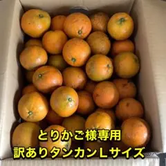 とりかご様/沖縄産訳ありタンカン(10kg)Lサイズ
