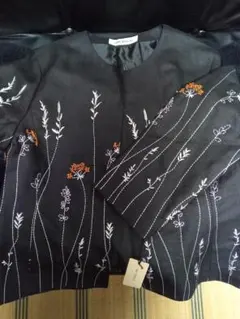 Item thumbnail for item 1704112d-4c32-4f19-8075-306b7a519f01