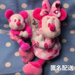 ミニーとミッキー ぬいぐるみチャームセット