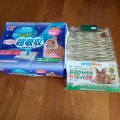 Item thumbnail for item d2478113-3279-4387-ae63-b07b747719eb