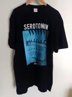 2025年最新】シンガーズハイ tシャツの人気アイテム - メルカリ