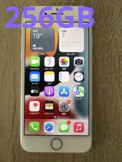 iPhone iPhone8本体　256GB 画面コーティング済