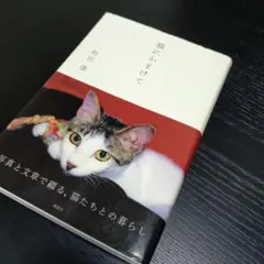 猫にかまけて / 町田康