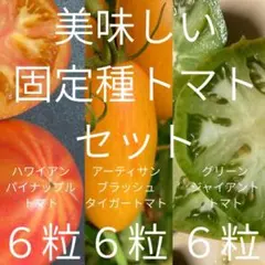 2026年最新】グリーンジャイアントトマトの人気アイテム - メルカリ