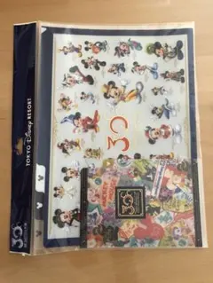 ディズニーランド　３０周年　クリアファイル　２点セット