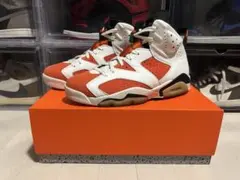 Nike Air Jordan 6"Gatorade"のサムネイル