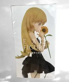 2025年最新】西尾維新大辞展の人気アイテム - メルカリ