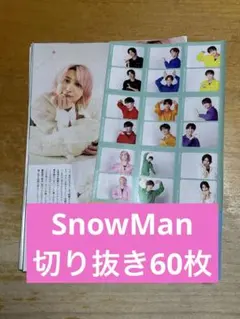 SnowMan 切り抜き60枚（TVnavi）