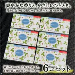 【WEDGWOOD】アソートティー 20袋入 6コセット 紅茶 ギフトのサムネイル