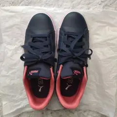 Item thumbnail for item 3179b879-a516-4b72-a861-eb427df2e09d