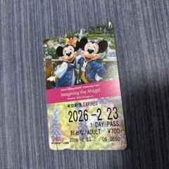 東京ディズニーリゾートライン フリーきっぷ 期限切れ イマジニングザマジック