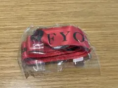 B'z ガチャガチャ　ネックストラップ　FYOP