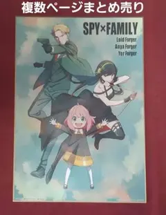 SPY×FAMILY スパイファミリー ビックサイズ色紙コレクション
