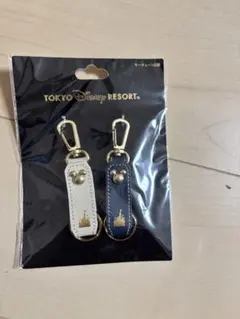 Item thumbnail for item 6b91ee87-88d7-4bd4-b317-461fca92b15a