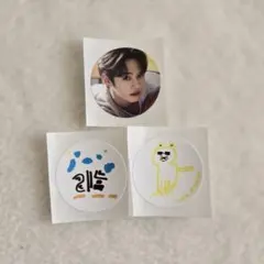 StrayKids シーグリ ステッカー リノ 3枚セット