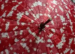 傘 和風 和傘 赤 花柄 未使用ですが汚れあり