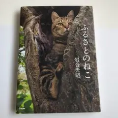 ねこじろう様 リクエスト 2点 まとめ商品