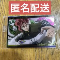 ジョジョの奇妙な冒険 ウエハース2 カード 花京院典明 匿名配送