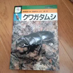 検索入門クワガタムシ