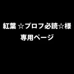 紅葉 ☆プロフ必読☆様 リクエスト 2点 まとめ商品