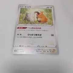 ポケモンカード ビッパ