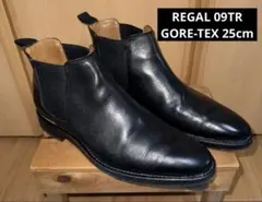 REGAL 09TR サイドゴアブーツ ゴアテックス 25 メンズ