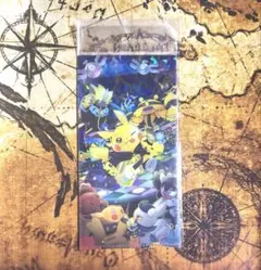 チケットホルダー ポケモンバンドフェス ピカチュウ