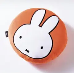 Item thumbnail for item a76629e1-31b3-4761-86fa-4be636ac9555