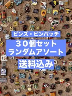 Chevon ラバーバンド ピック ピンズまとめ売り - メルカリ