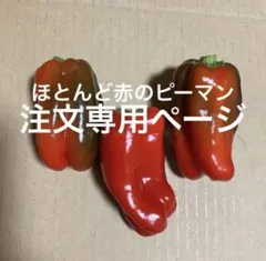 ちゃんさま新鮮青パパイヤ箱込み20キロ - メルカリ
