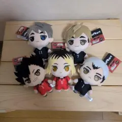 ぷちっしゅ！ ハイキュー!! vol.2 全5種