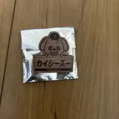 オータムジャイアンツくじ2025ウッドクリップカイシーズ