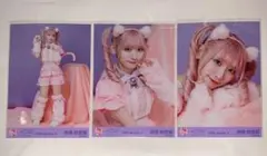 イコラブ 齋藤樹愛羅 生写真 コンプ 猫 7周年