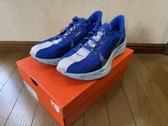 Item thumbnail for item 36c5e975-48ba-4e9e-aa5b-da0a1f8075fa