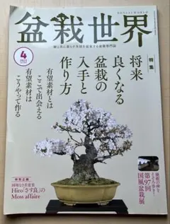 2026年最新】盆栽世界の人気アイテム - メルカリ