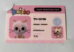 BOYNEXTDOOR ソンホ