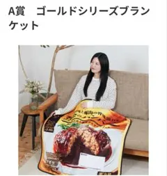 セブンイレブン　ハッピーくじ　ゴールドシリーズブランケット A賞　ハンバーグ