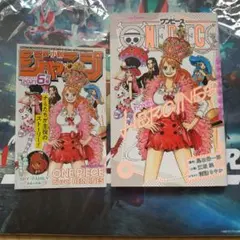 ONE PIECE novel HEROINES ワンピース ノベルヒロインズ - メルカリ