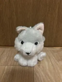 2025年最新】もふっとオオカミの人気アイテム - メルカリ