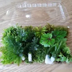 やもり様 リクエスト 3点 まとめ商品 速達発送