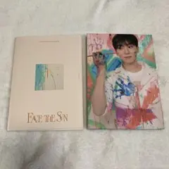 SEVENTEEN FACE THE SUN CARAT盤