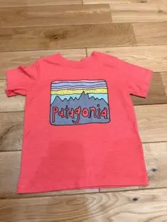 中古　patagonia コーラルピンク Tシャツ　5T