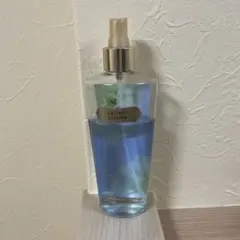 2026年最新】ヴィクトリアシークレット シークレットチャームの人気